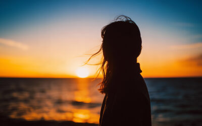 Transmission log: Quiet Paradise — A Moment Without Weight